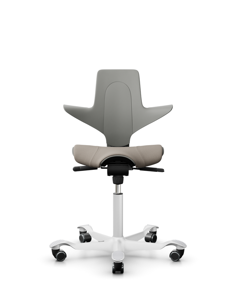Capisco Clay EKOBOR 電腦椅 辦公椅 人體工學椅 Office chair  office ergonomic chair