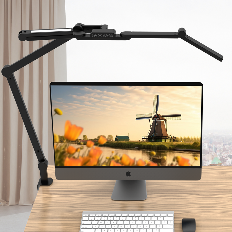 Black Hawk study desk lamp