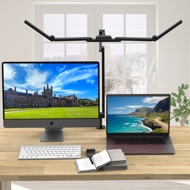 Black Hawk study desk lamp