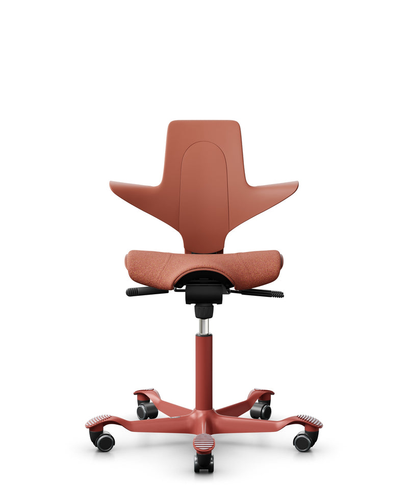 Capisco Rosehip EKOBOR 電腦椅 辦公椅 人體工學椅 Office chair  office ergonomic chair