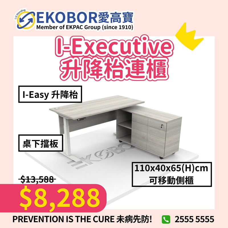 EKOBOR I-Executive 001 Standing Desk with side cabinet