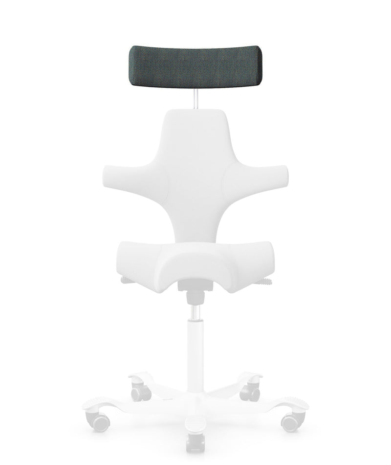 Capisco 8106 headrest