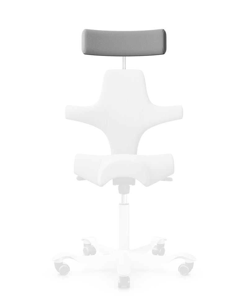 Capisco 8106 headrest