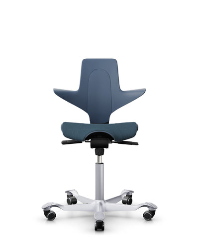 Capisco blue EKOBOR 電腦椅 辦公椅 人體工學椅 Office chair  office ergonomic chair