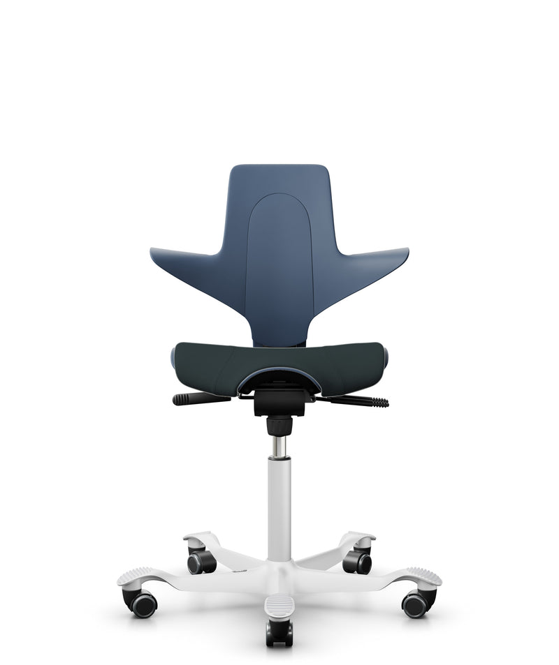 Capisco blue EKOBOR 電腦椅 辦公椅 人體工學椅 Office chair  office ergonomic chair