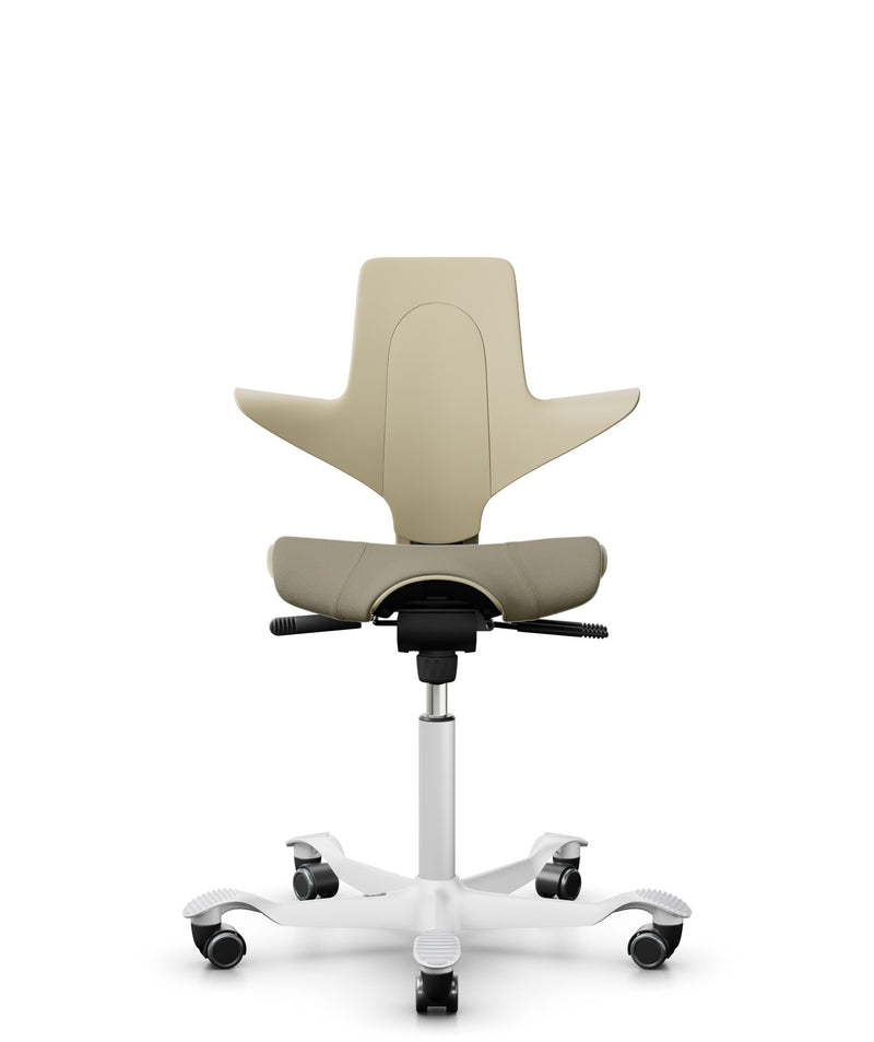 Capisco Sand EKOBOR 電腦椅 辦公椅 人體工學椅 Office chair  office ergonomic chair