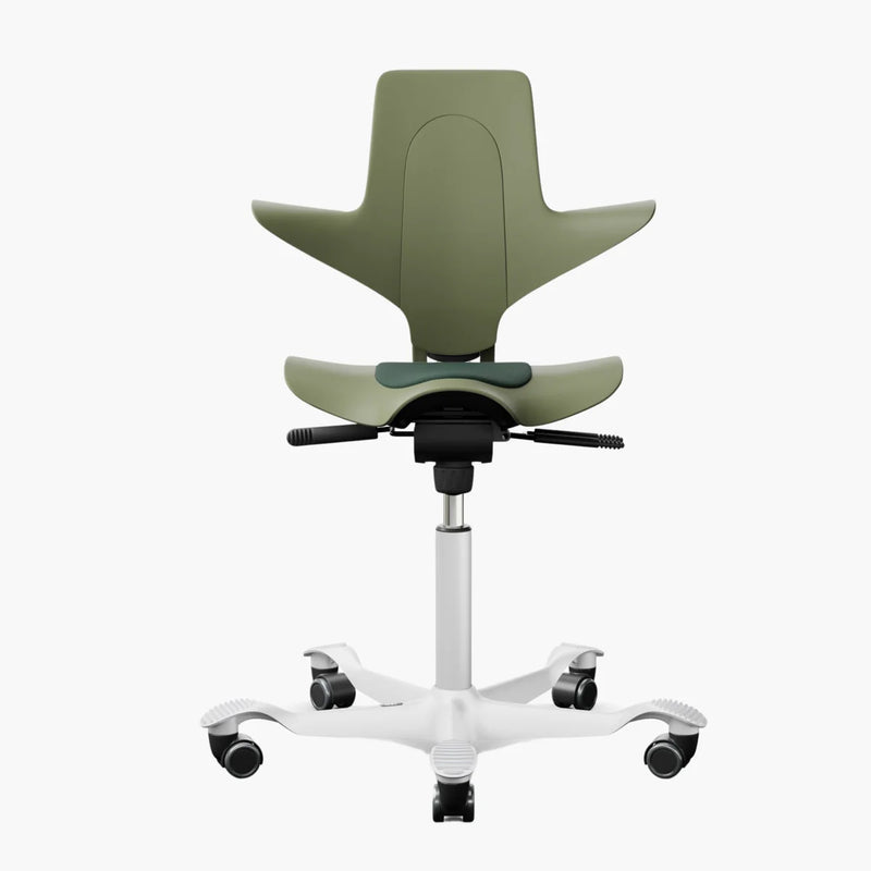 Capisco 8010 (Moss)