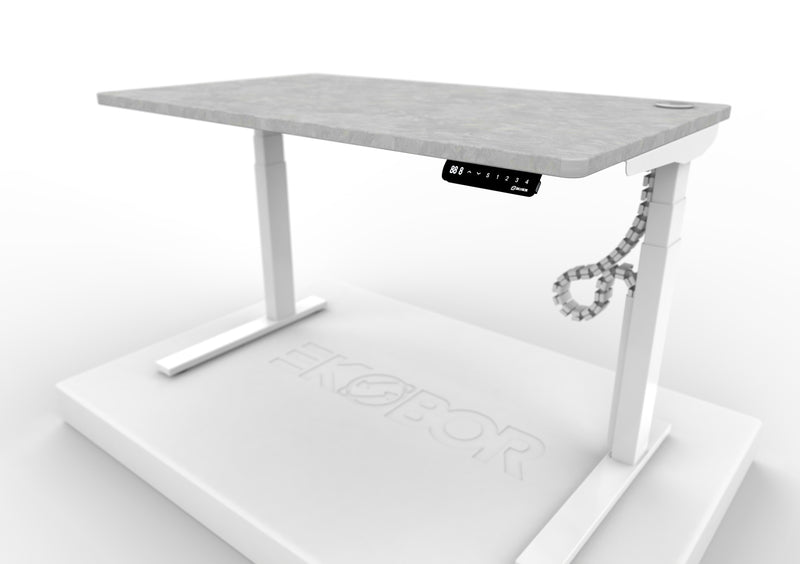 Top 1 Family家庭式 雙摩打 Dual motors I-EASY Standing Desk (🎁送贈包$430電線管理)-  120cm身高或以上 (有存貨)