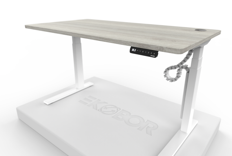 Top 1 Family家庭式 雙摩打 Dual motors I-EASY Standing Desk (🎁送贈包$430電線管理)-  120cm身高或以上 (有存貨)