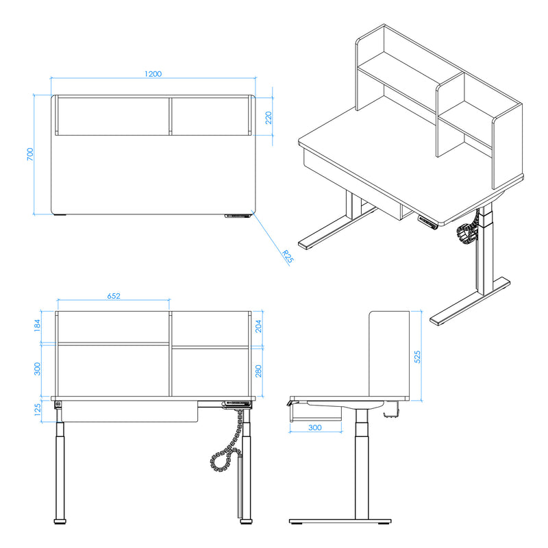 Clownfish Kids Study Standing Desk - Customized