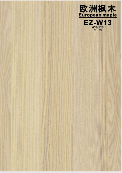 I-Standing 單摩打升降枱 (定製)