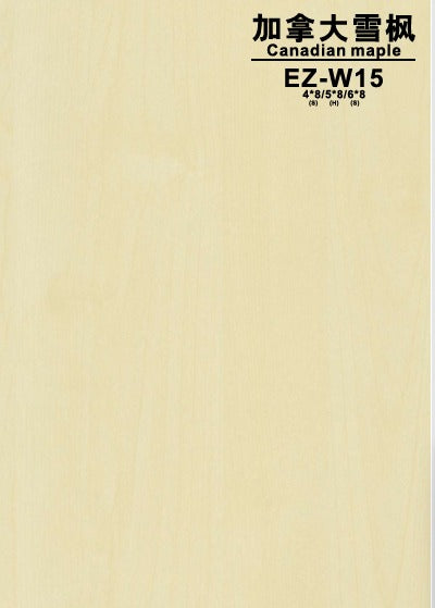 I-Standing 單摩打升降枱 (定製)