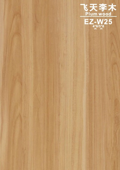 I-Standing 單摩打升降枱 (定製)