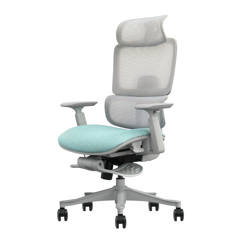 TOP 8 T8 Comfort -  Adjustable Back Full Mesh Office Ergonomic Chair (with Footstep)