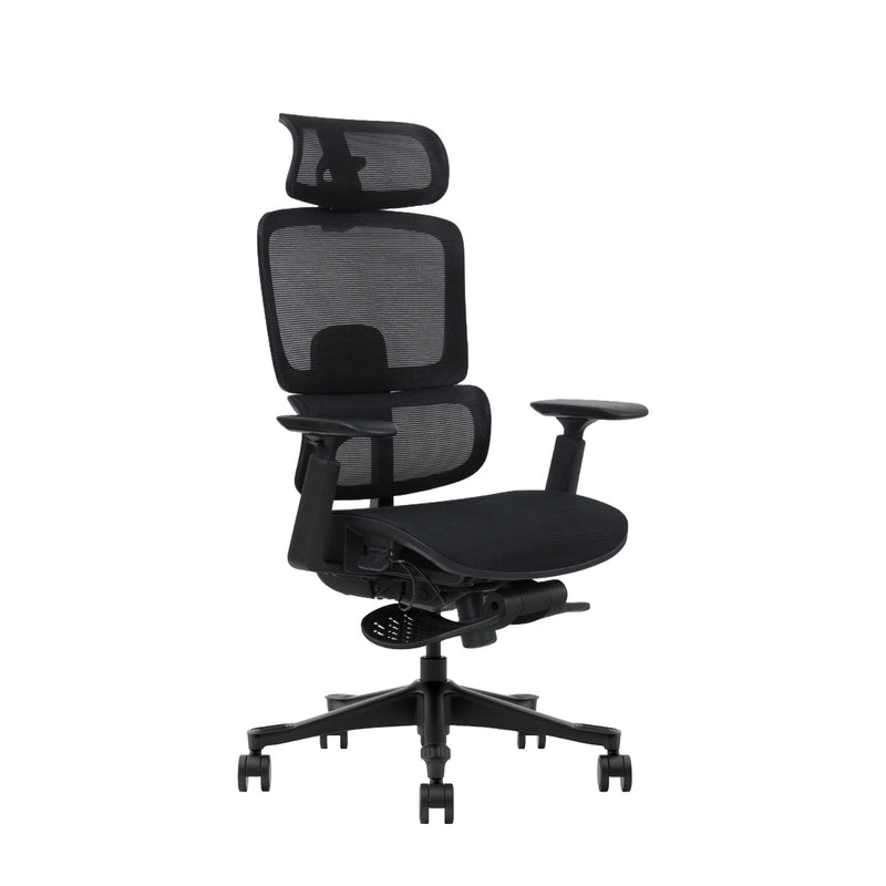 TOP 8 T8 Comfort -  Adjustable Back Full Mesh Office Ergonomic Chair (with Footstep)