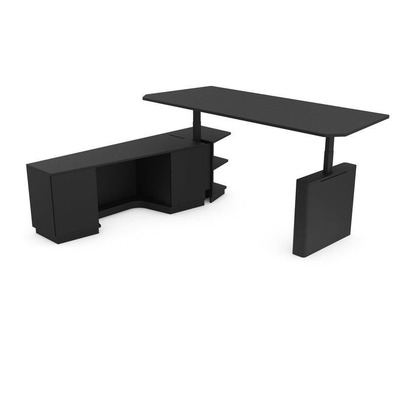 Austin Prestige - Executive Ergonomic Desk - Your Size - EKOBOR Ergonomic Furniture