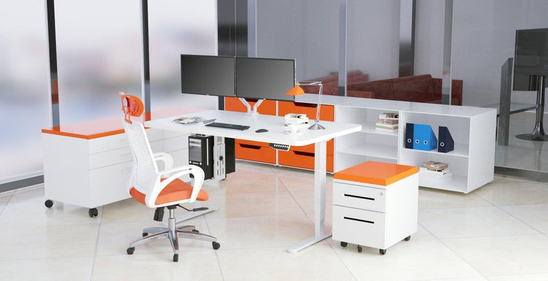 CPU Server Holder - EKOBOR Ergonomic Furniture