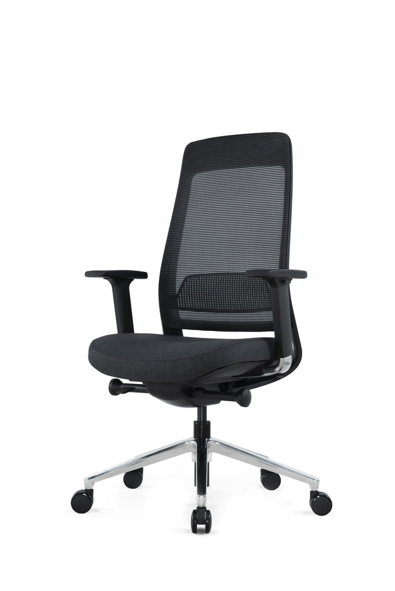 FILO-B- Office Ergonomic Chair no headrest (High back Natural Lumbar Support) - EKOBOR Ergonomic Furniture