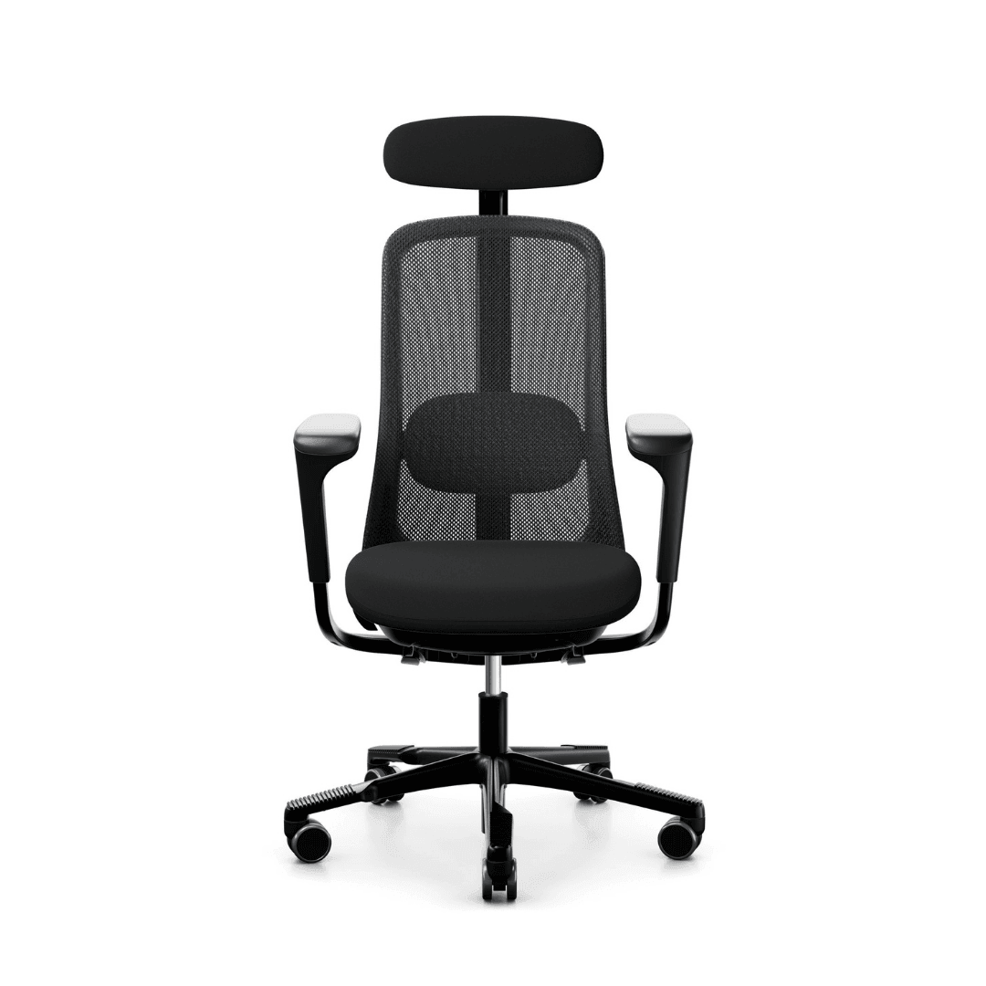 Office Chair Ergonomic Chair, Lumbar Support, High Back, Headrest, Gaming -  999
