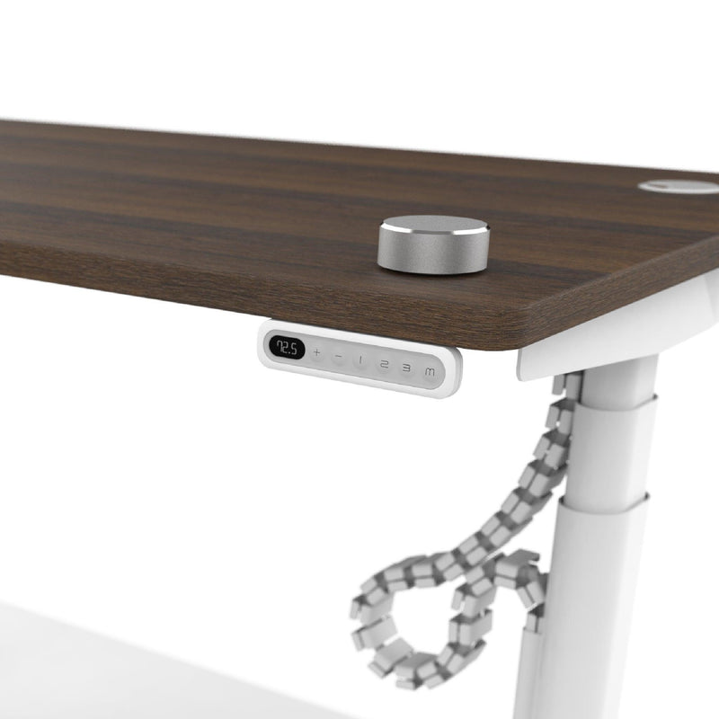 Premium Pick! Oval Standing Desk- with remote - Size: 1.2-1.8m - FREE Premium Cable Tray & Snake $500 - EKOBOR Ergonomic Furniture