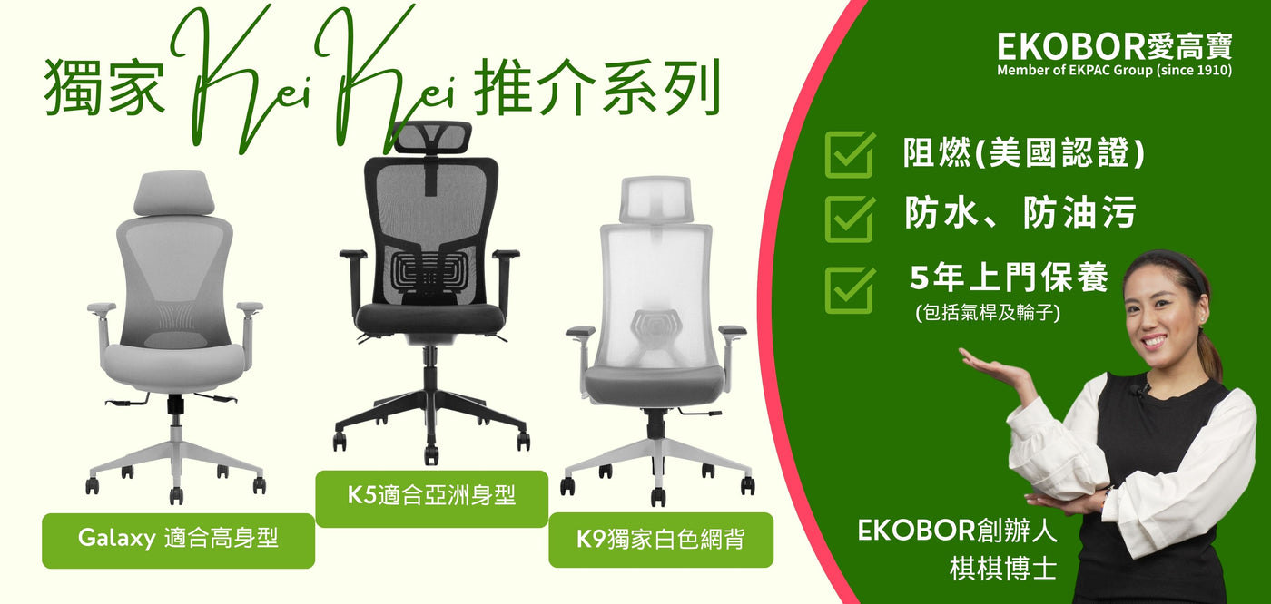 Home and Office Ergonomic Chairs