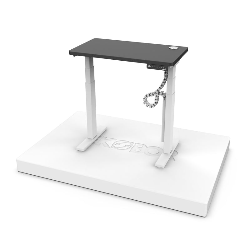 Family Pick! I-Easy - Dual motors Standing Desk - FREE 2 items) cable basket AND cable riser＄430