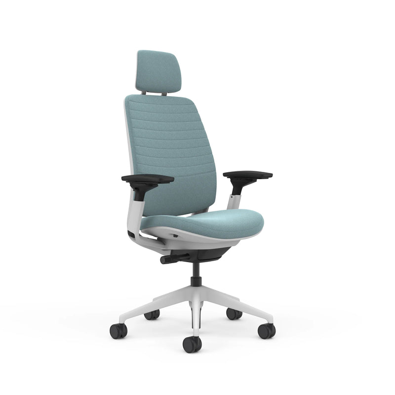 Steelcase Series 2 Ergonomic Chair