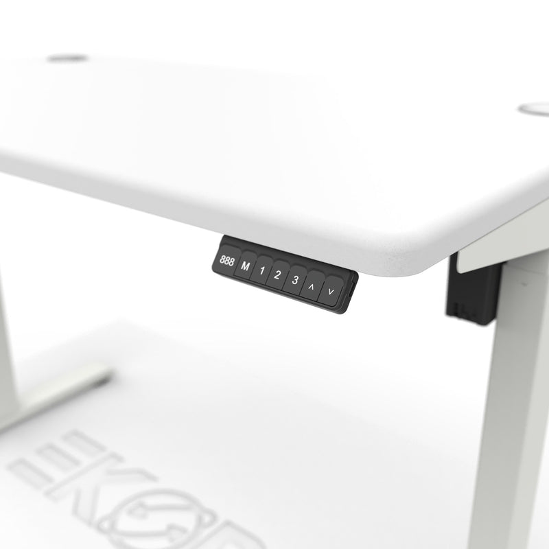 K5 Ergonomic Chair with I-Basic Standing Desk (FREE Delivery and Installation)