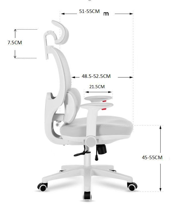 NEW! CATCH ME - Spine Protecting Full Function Office Chair