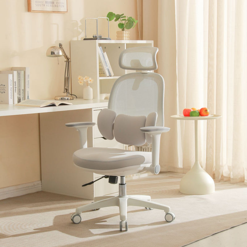 NEW! CATCH ME - Spine Protecting Full Function Office Chair