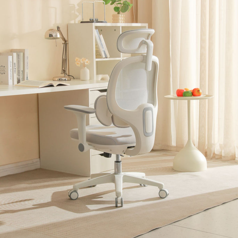 NEW! CATCH ME - Spine Protecting Full Function Office Chair