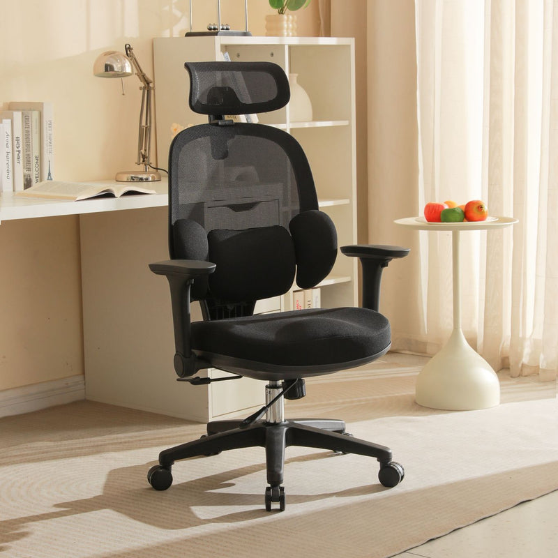 NEW! CATCH ME - Spine Protecting Full Function Office Chair