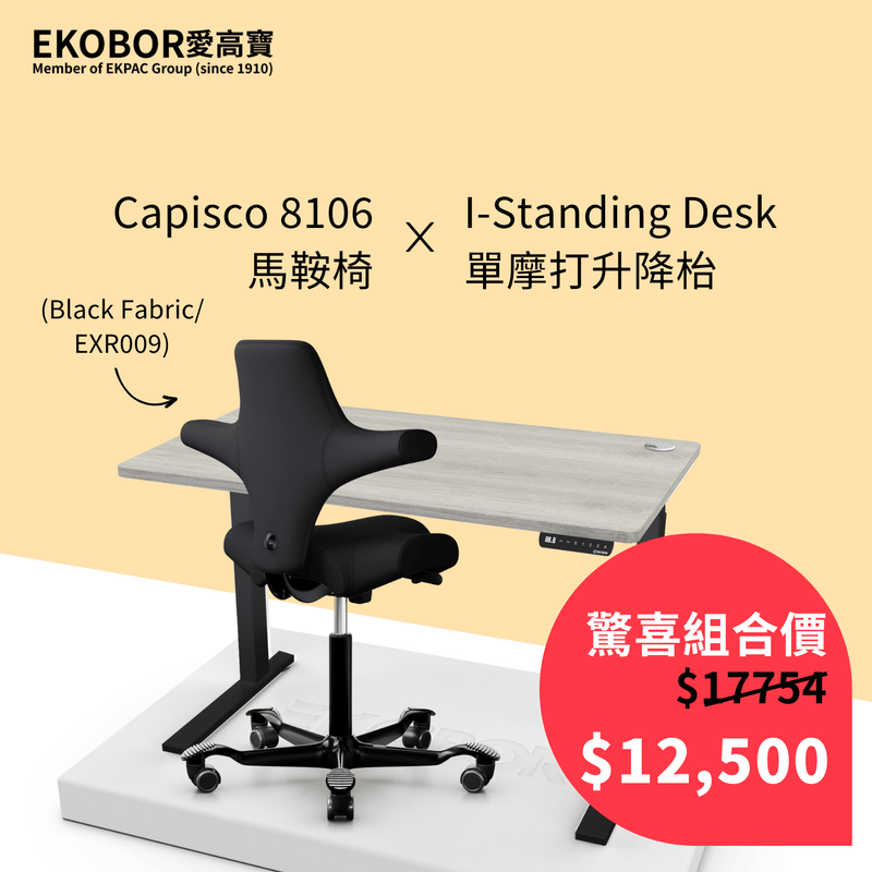 Capisco 8106 Ergonomic Chair + I-Standing Desk - EKOBOR Ergonomic Furniture