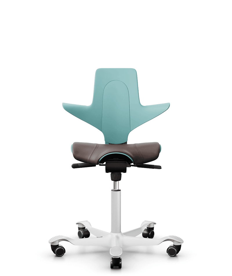 HÅG Capisco Puls 8020 Office Ergonomic Chair (Seagreen Plastic) - EKOBOR Ergonomic Furniture