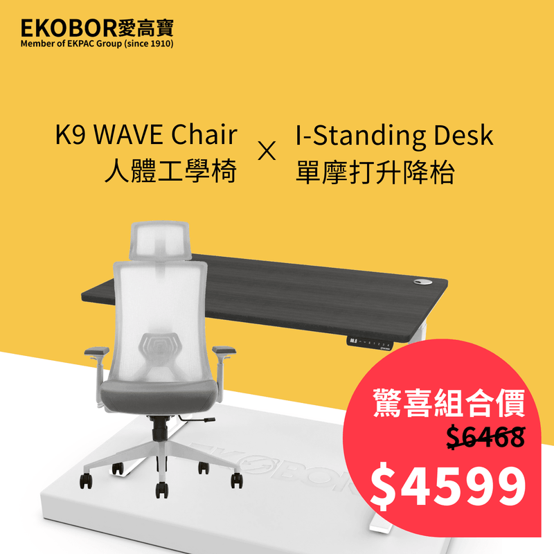 K9 Ergonomic Chair + I-Standing Desk - EKOBOR Ergonomic Furniture