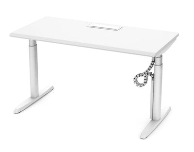 Oval Premium Slope Edge Standing Desk (White/M01) - EKOBOR Ergonomic Furniture