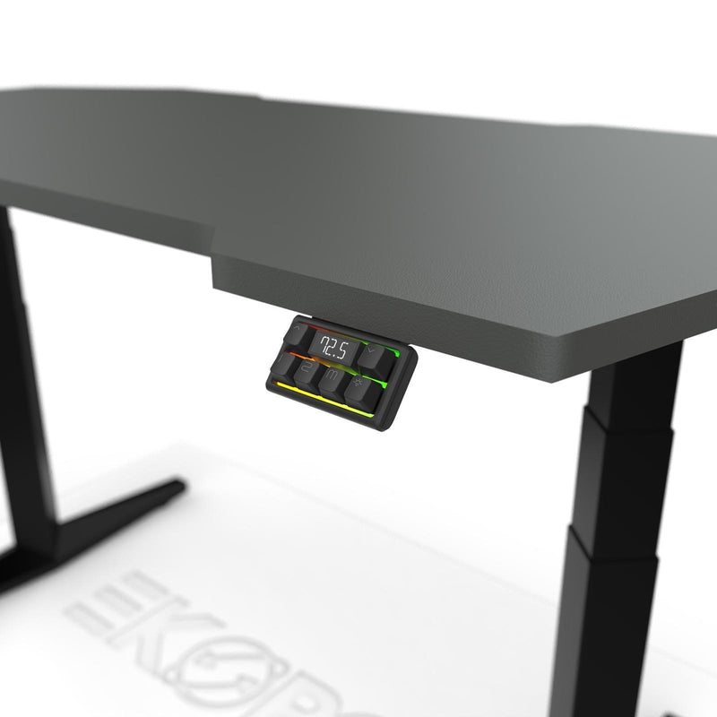 STAR Standing Desk - Premium Cable Tray and Cable Snake included - EKOBOR Ergonomic Furniture