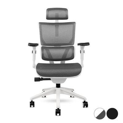 VISION - Office Ergonomic Chair - Small Size - Full Mesh - Within 165cm - EKOBOR Ergonomic Furniture